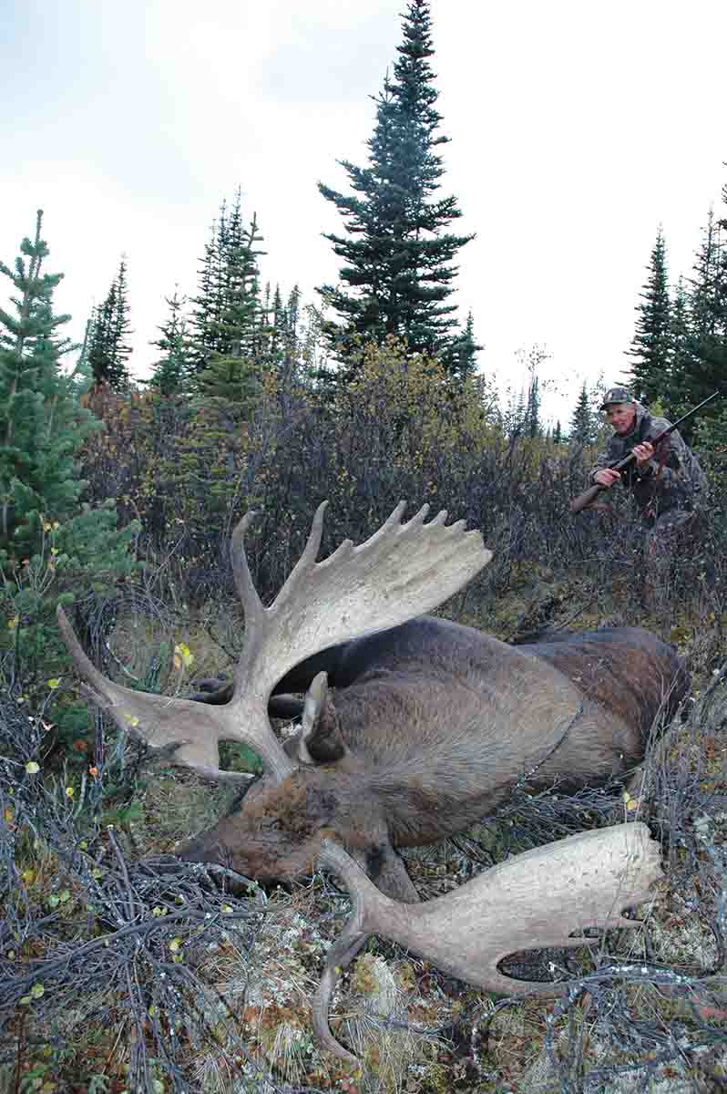 Wayne took this British Columbia, Canada, moose at 40 yards with his CZ 550 in 9.3x62mm and a 250-grain Swift A-Frame.